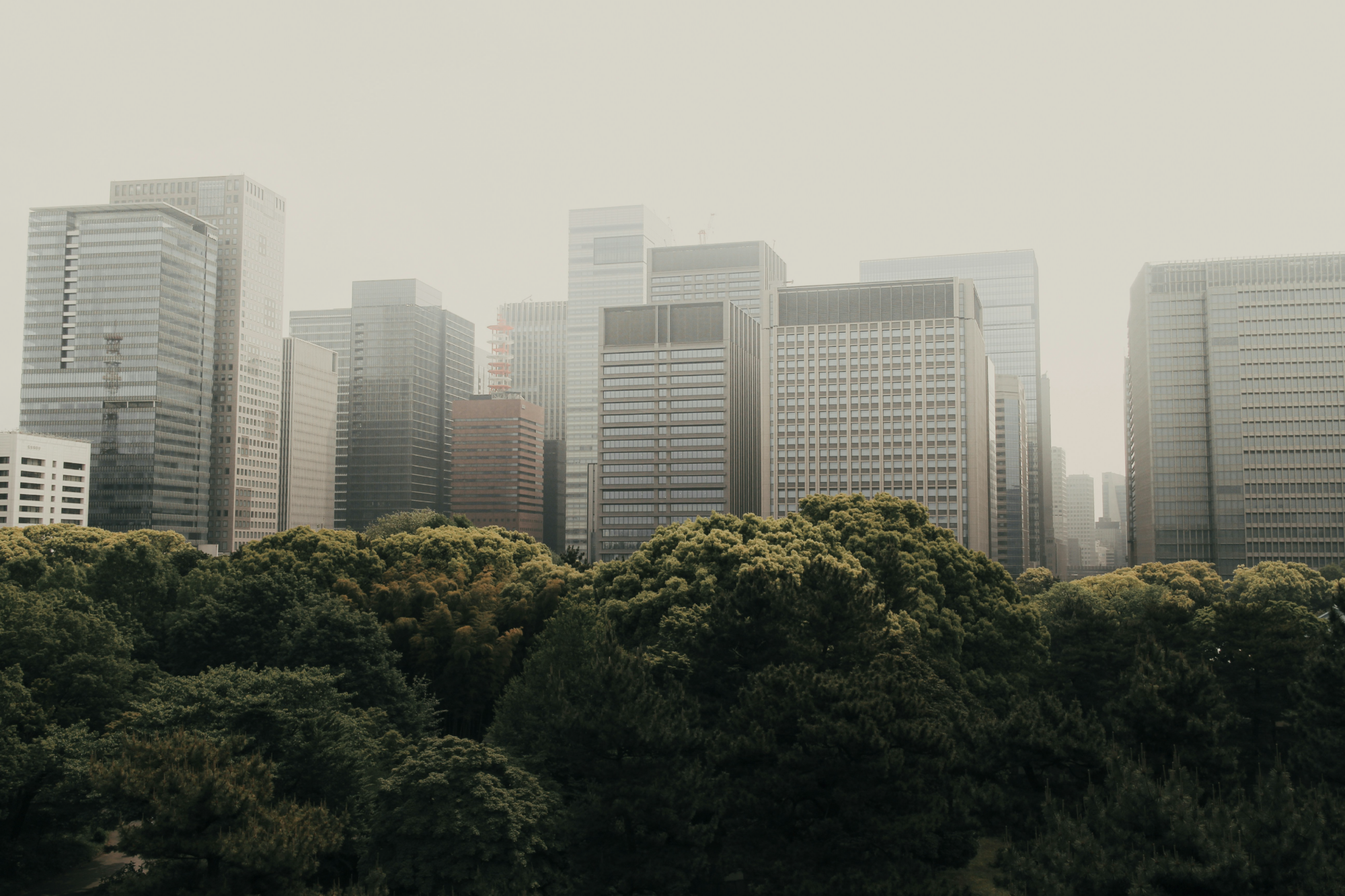 Urban Image